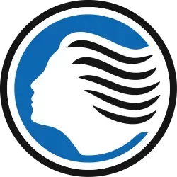 亚特兰大 战队徽标